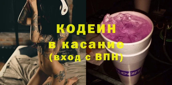 шишки Новодвинск