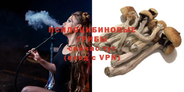 меф Нягань