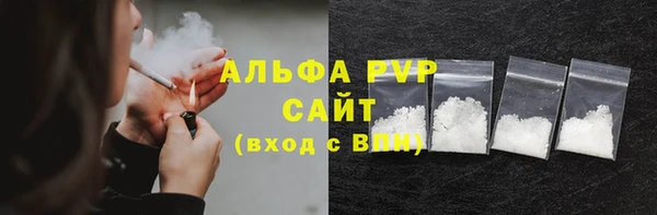 шишки Новодвинск