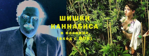 шишки Новодвинск