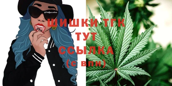 шишки Новодвинск