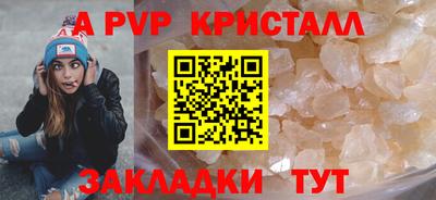 СК Волгодонск