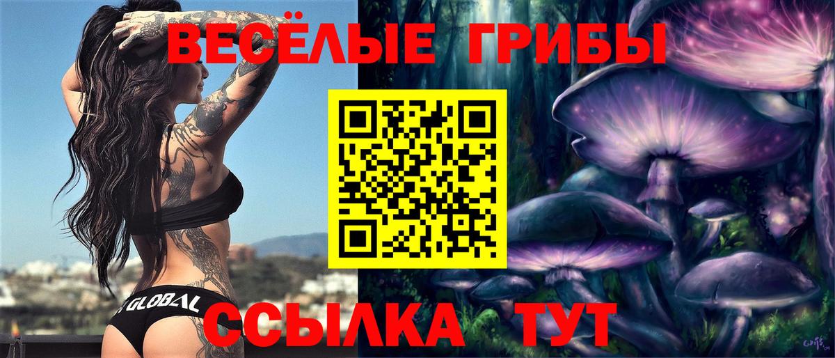 Рубцовск  Гашиш  Мефедрон  Масло ТГК  МДМА  Вход с VPN  Марихуана  ГАШИШ 