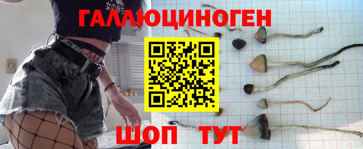 Галлюциногенные грибы ЛСД  Вход с VPN  Рубцовск  Галлюциногенные грибы Psilocybine cubensis 