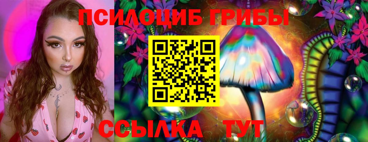 Псилоцибиновые грибы MAGIC MUSHROOMS Рубцовск