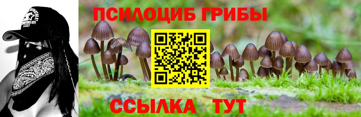 Галлюциногенные грибы GOLDEN TEACHER Рубцовск